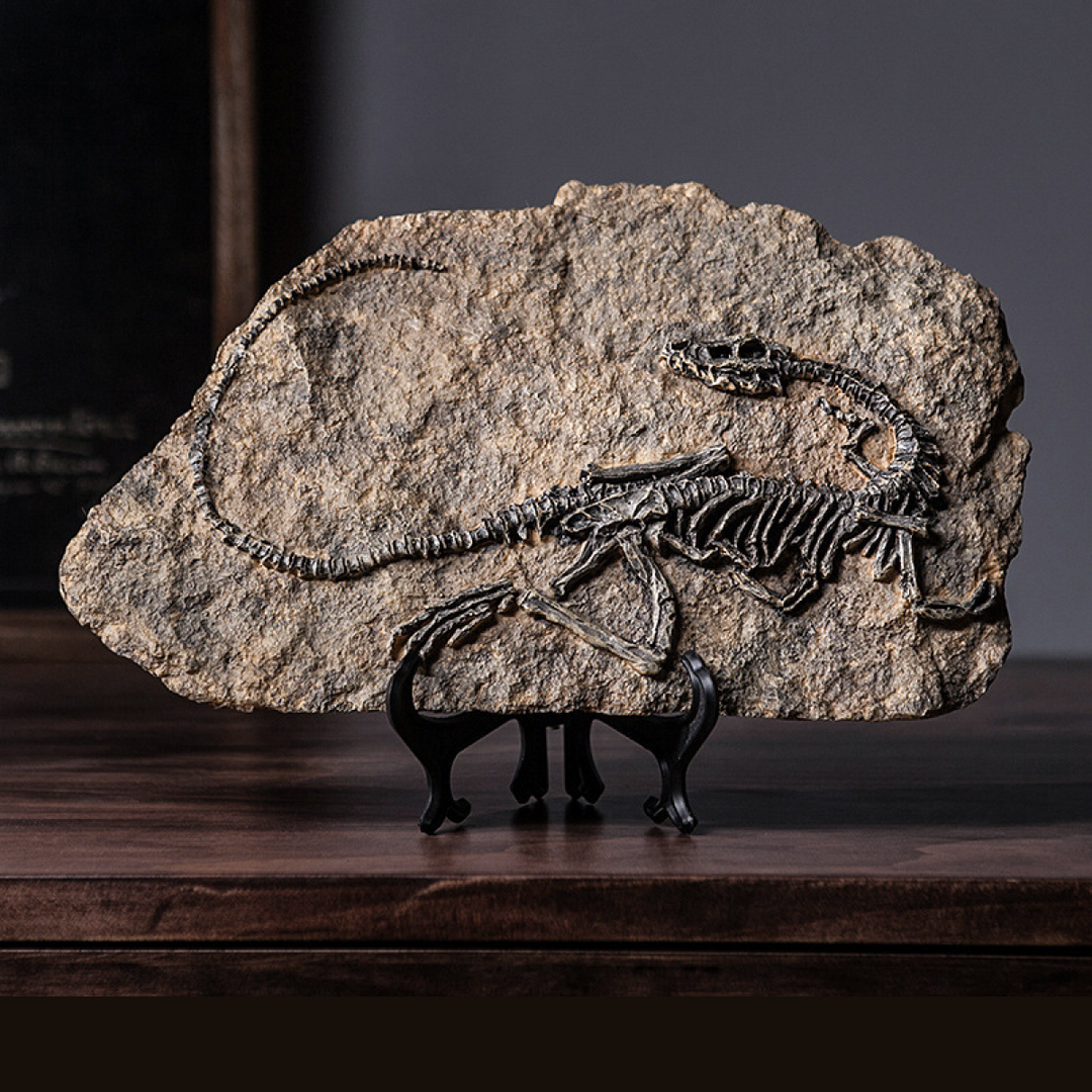 Genesis Fossil Sculpture