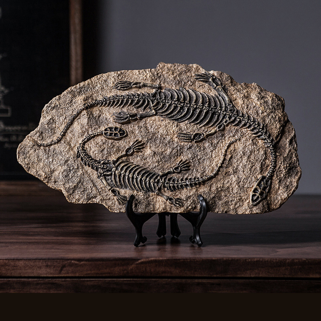 Genesis Fossil Sculpture