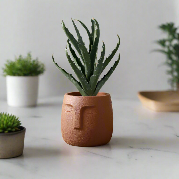 Aruba Ceramic Face Planters