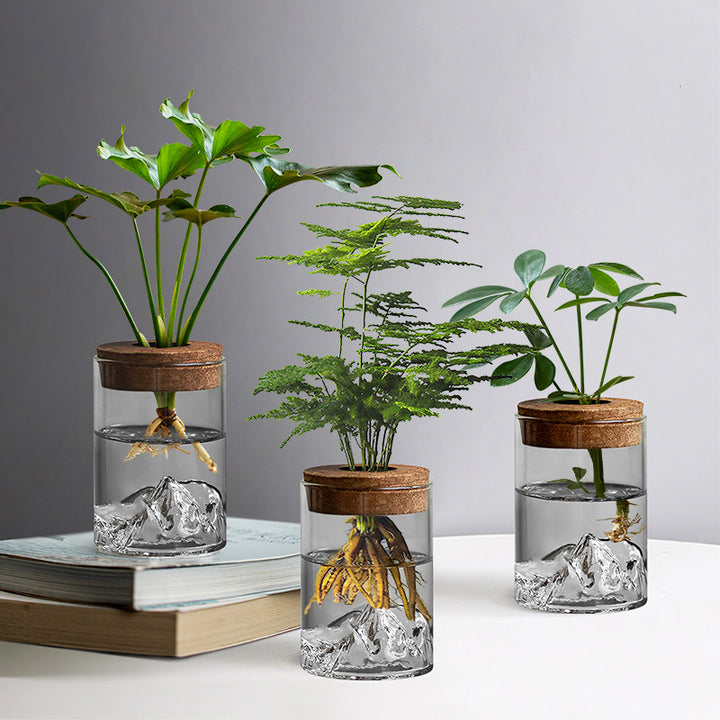 Sofia Glass Root Planter