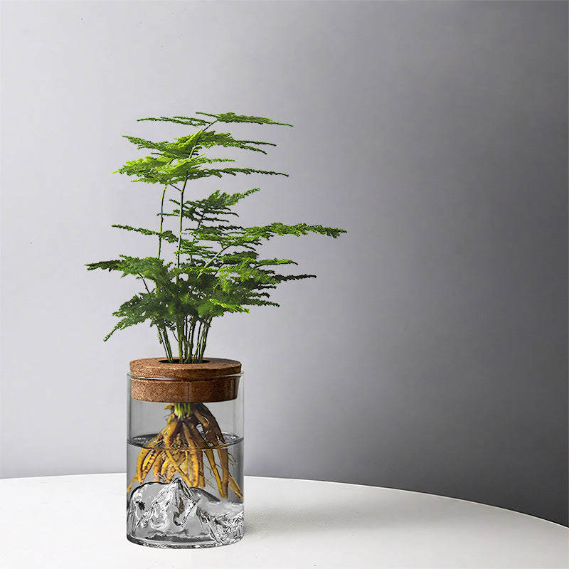 Sofia Glass Root Planter