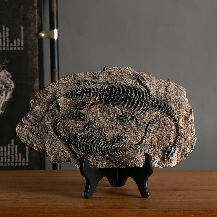 Genesis Fossil Sculpture