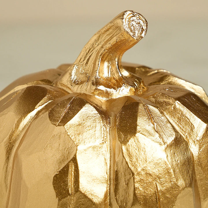 Titan Harvest Gold Pumpkin