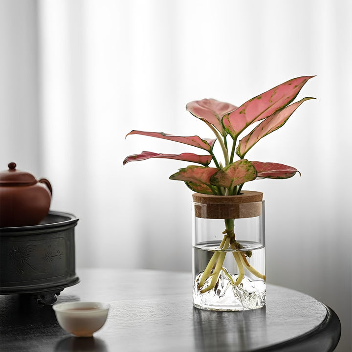 Sofia Glass Root Planter