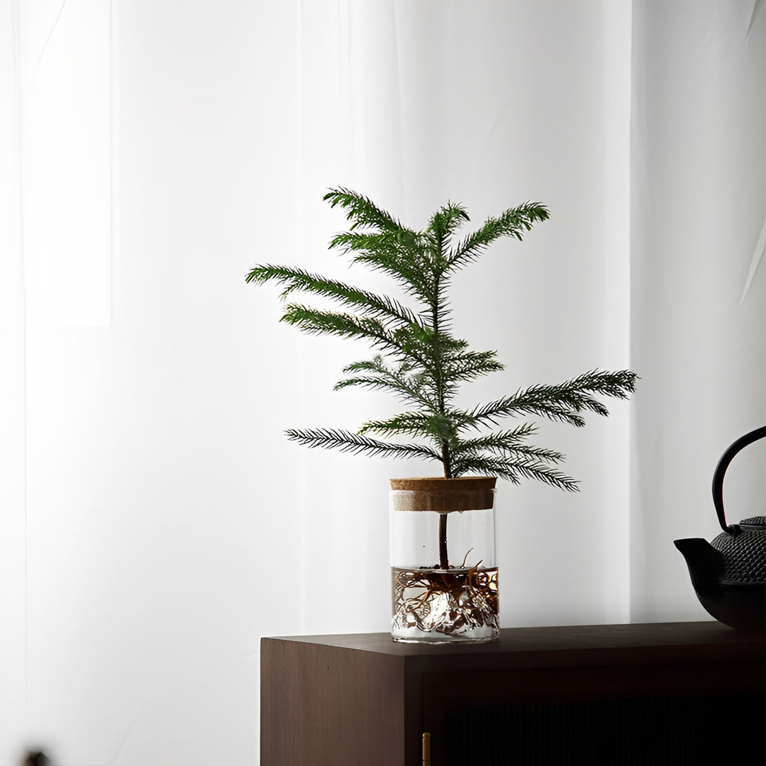 Sofia Glass Root Planter